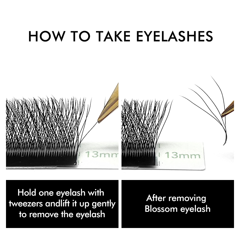 3D 4D 5D 6D W Shaped Clover Ey - Eyelash Extension Russian ulasan dan harga